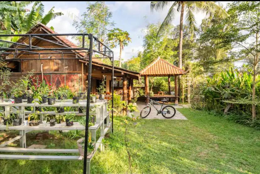 فندق Al-Shifa Healing House Lombok غيلي آير المظهر الخارجي الصورة